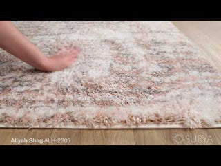 Surya Aliyah Shag ALH-2305 Area Rug Video 