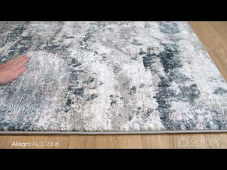 Surya Allegro ALG-2306 Area Rug Video 