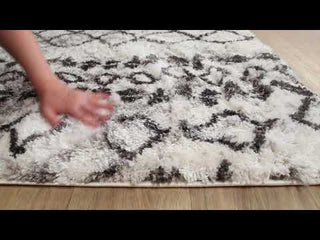 Surya Aliyah Shag ALH-2311 Area Rug Video 