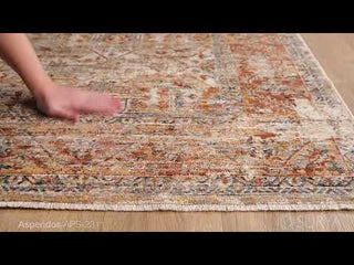 Surya Aspendos APS-2311 Area Rug Video 