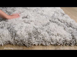 Surya Alta Shag ASG-2305 Area Rug by Artistic Weavers Video 