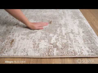 Surya Allegro ALG-2304 Area Rug Video 