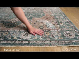 Surya Carlisle CSI-2304 Area Rug Video 