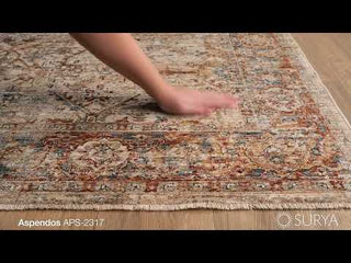 Surya Aspendos APS-2317 Area Rug Video 