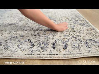 Surya Indigo IGO-2308 Area Rug Video 