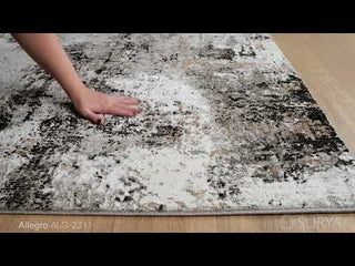 Surya Allegro ALG-2311 Area Rug Video 