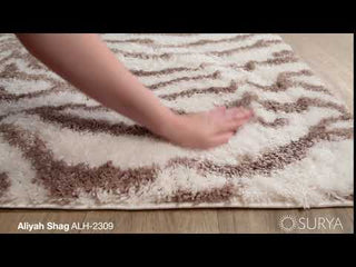 Surya Aliyah Shag ALH-2309 Area Rug Video 