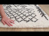 Surya Aliyah Shag ALH-2314 Area Rug Video 