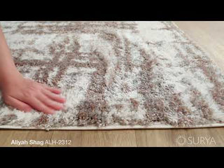 Surya Aliyah Shag ALH-2312 Area Rug Video 