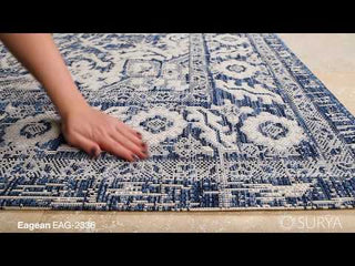 Surya Eagean EAG-2336 Area Rug Video 