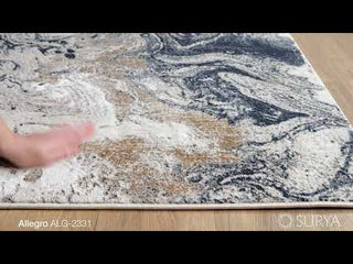 Surya Allegro ALG-2331 Area Rug Video