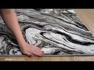 Surya Allegro ALG-2343 Area Rug Video 