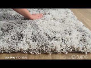 Surya Alta Shag ASG-2302 Area Rug by Artistic Weavers Video 