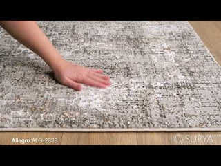 Surya Allegro ALG-2328 Area Rug Video