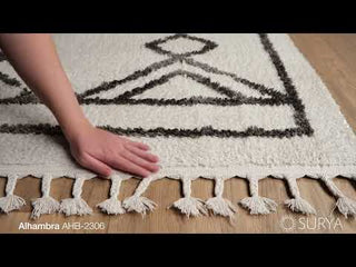 Surya Alhambra AHB-2306 Area Rug Video 