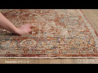  Surya Aspendos APS-2316 Area Rug Video 