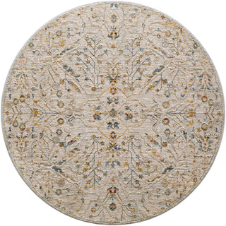 Surya Reina REN-2302 Area Rug 5'3'' Round