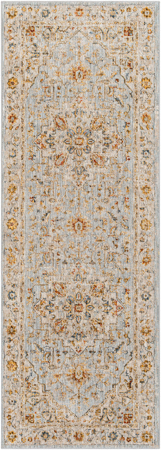 Surya Reina REN-2304 Area Rug 2'7'' X 7'3'' Runner