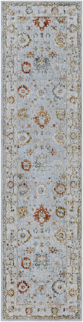 Surya Reina REN-2306 Area Rug 2'7'' X 10' Runner