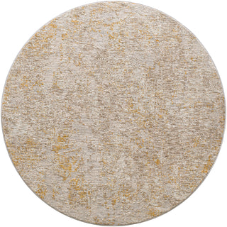 Surya Reina REN-2310 Area Rug 5'3'' Round