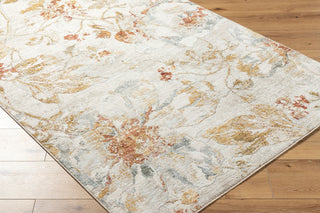 Livabliss Roseanne RSE-2302 Light Grey Area Rug