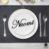 3" Fancy Script Words - Custom Family Metal Name Sign for Home