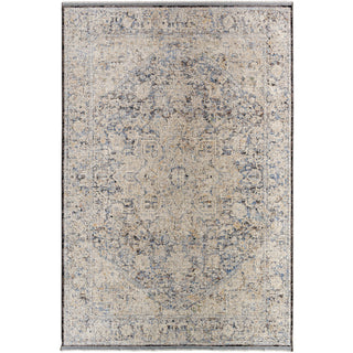 Livabliss Rivaldo RVD-2304 Area Rug