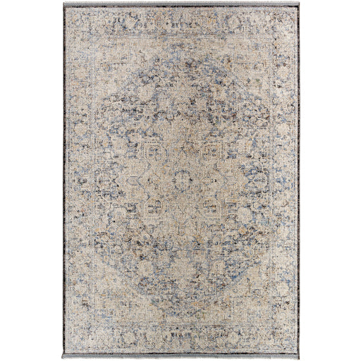 Livabliss Rivaldo RVD-2304 Area Rug