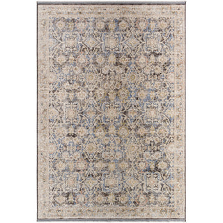 Surya Rivaldo RVD-2306 Area Rug Main Image 