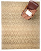 Capel Apex 1083 Tan 700 Area Rug Rectangle Roomshot Image 1 Feature