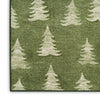 Nourison Accent Decor/Xmas 173JP Olive Area Rug T' R
