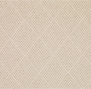 Capel Shoal White Wicker 1996 Area Rug