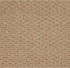 Capel Shoal Raffia 1998 Area Rug