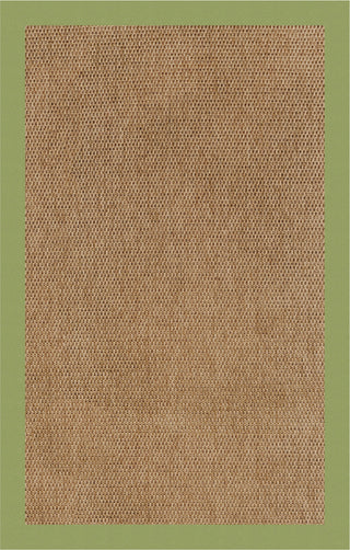 Capel Zelda-Basketweave 2085 Green Area Rug