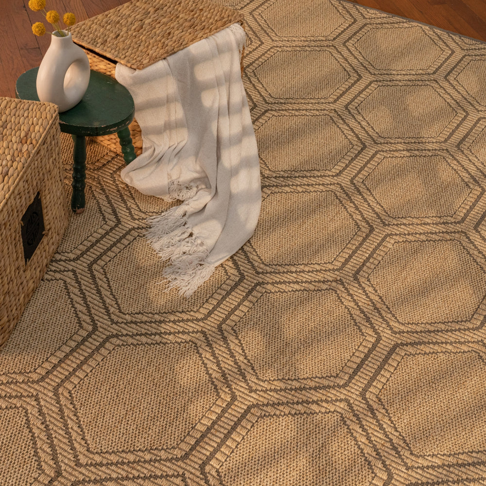 Capel Brier 2209 Sand Black 370 Area Rug Rectangle Roomshot Image 1 Feature