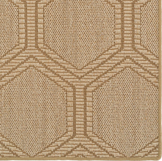 Capel Brier 2209 Sand 650 Area Rug