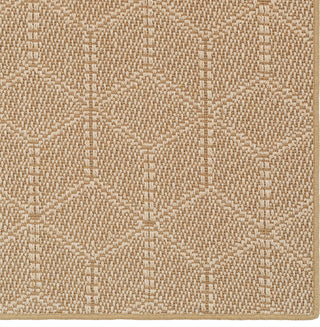 Capel Leo 2213 Sand 650 Area Rug