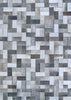 Couristan Prairie Nordic Grey-brown/No Foil Area Rug main image