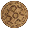 Nourison 3000 3107 Brown Area Rug main image