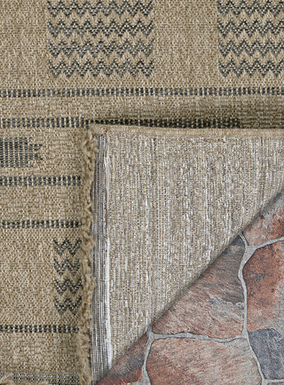 Couristan Naturalistic Sonoran Natural/Charcoal Area Rug Main
