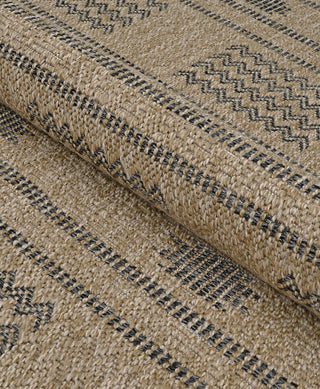 Couristan Naturalistic Sonoran Natural/Charcoal Area Rug Detail Image