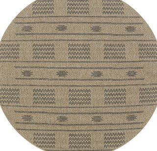 Couristan Naturalistic Sonoran Natural/Charcoal Area Rug Main