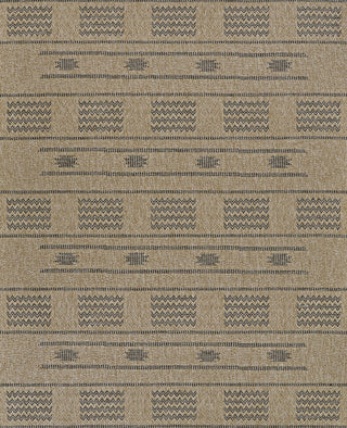 Couristan Naturalistic Sonoran Natural/Charcoal Area Rug main image