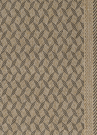 Couristan Naturalistic Symmetry Natural/Black Area Rug Pile Image