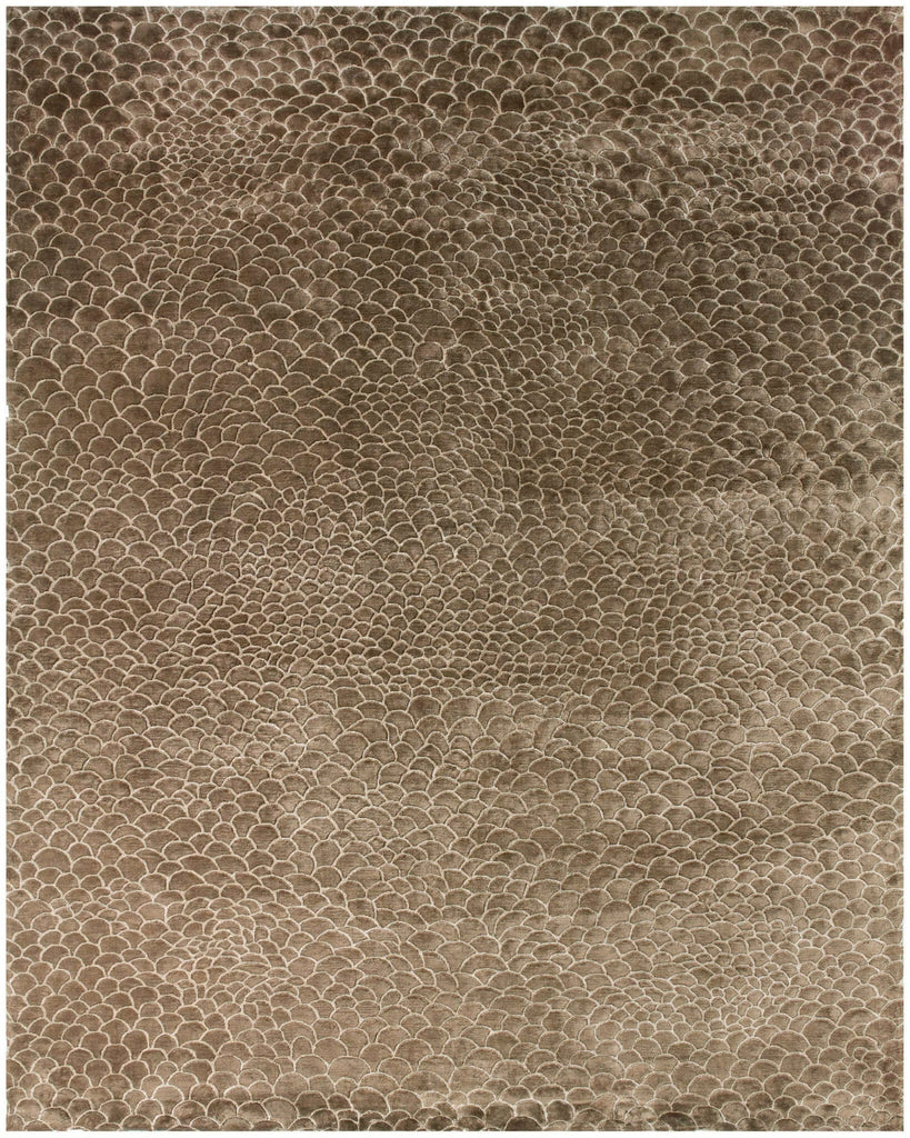 Feizy Kashgar 7249F Light Brown/Beige Area Rug main image