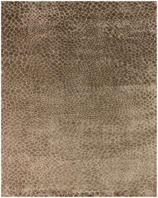 Feizy Kashgar 7249F Light Brown/Beige Area Rug main image