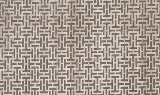 Feizy Saphir Zam 3097F Pewter/Light Gray Area Rug