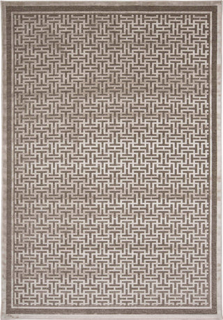 Feizy Saphir Zam 3097F Pewter/Light Gray Area Rug