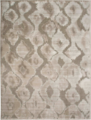 Feizy Saphir Zam 3250F Pewter/Gray Area Rug