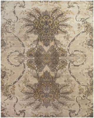 Feizy Vivendi 6402F Beige/Gray Area Rug